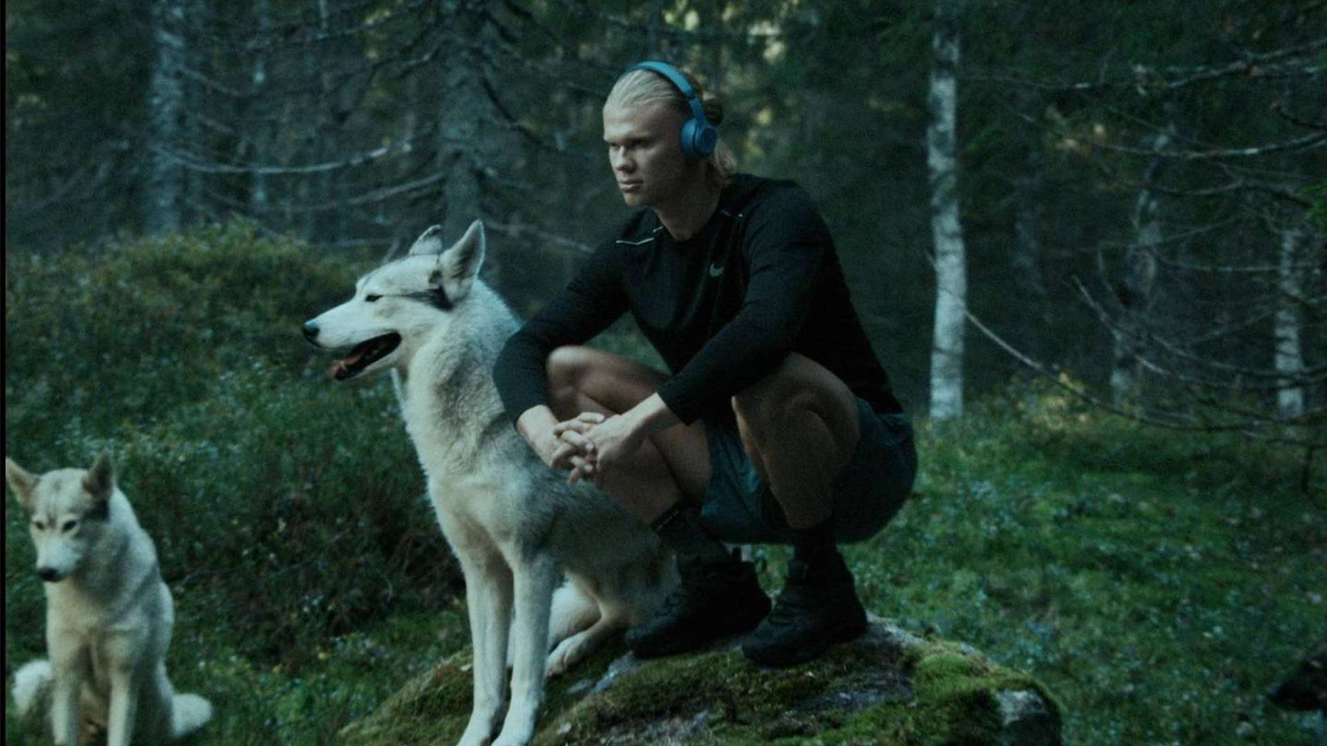 将比分扳平 将比分扳平