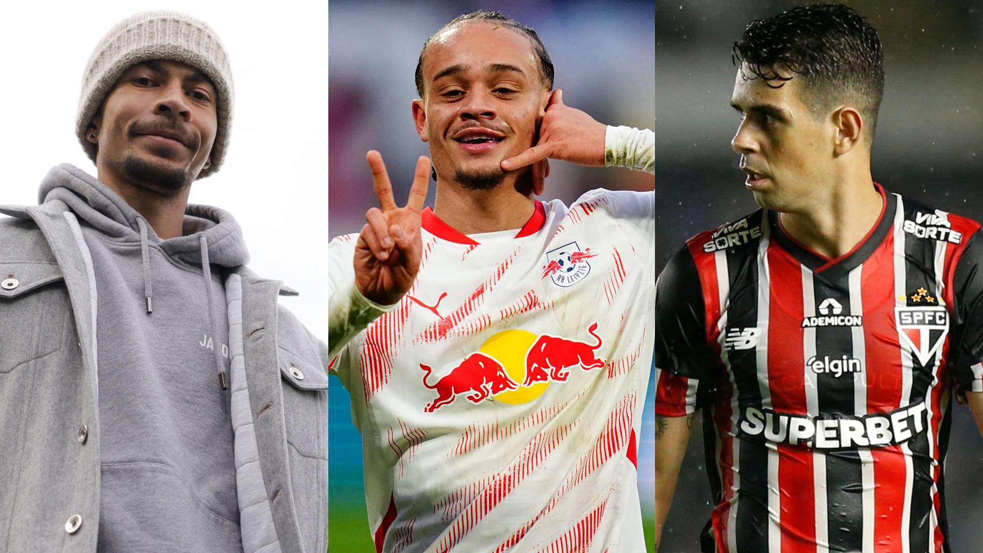 政府需要提 政府需要提